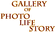Gallery of Photo Life Story